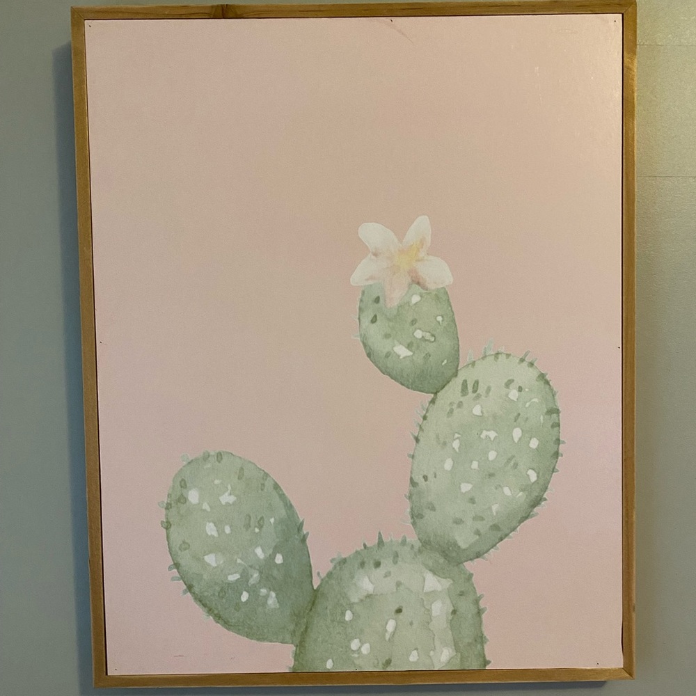 Cactus Picture